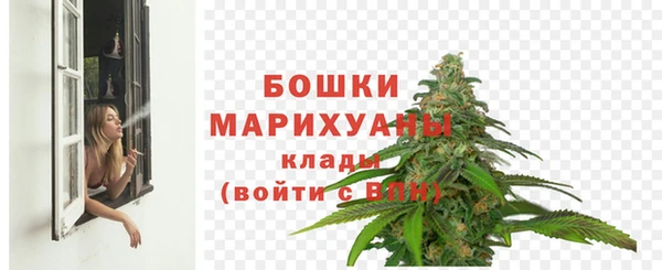 прущие грибы Зерноград