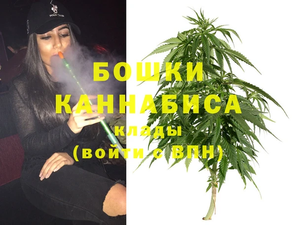 прущие грибы Зерноград