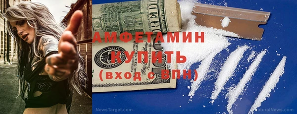 прущие грибы Зерноград