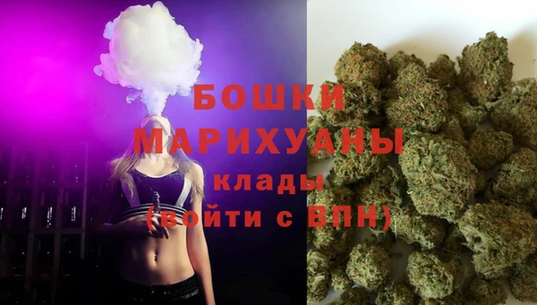 прущие грибы Зерноград