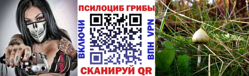 Купить  Комсомольск  Галлюциногенные грибы мицелий 